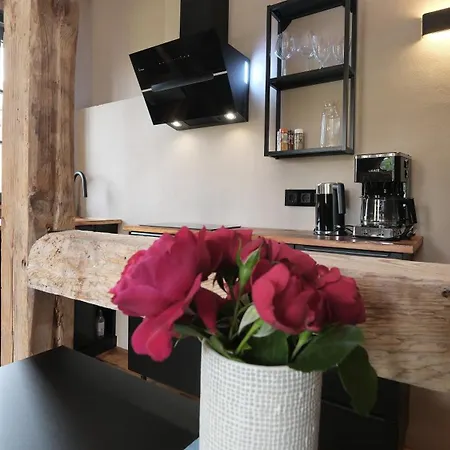 Altstadt In Mit Balkon Und Kunstgarten Torgau