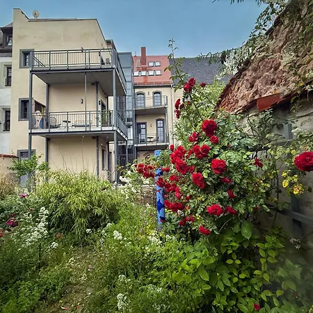 Daire Altstadt In Mit Balkon Und Kunstgarten Torgau