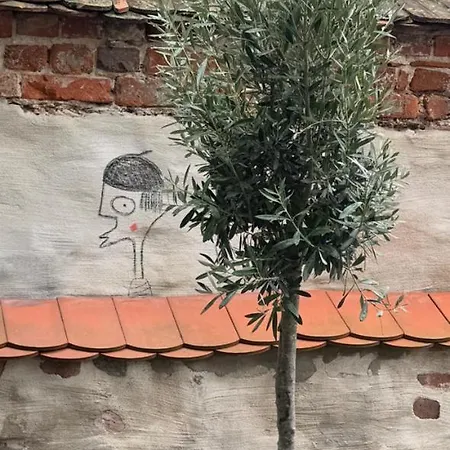 דירה Altstadt In Mit Balkon Und Kunstgarten טורגאו